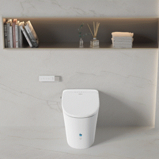 Lesbos Back to Wall Smart Toilet LK-LS318SMWFP